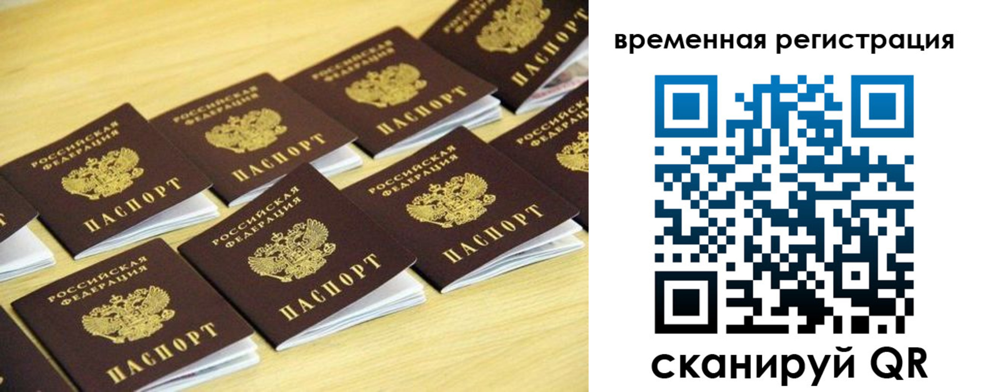 временная прописка в Котово